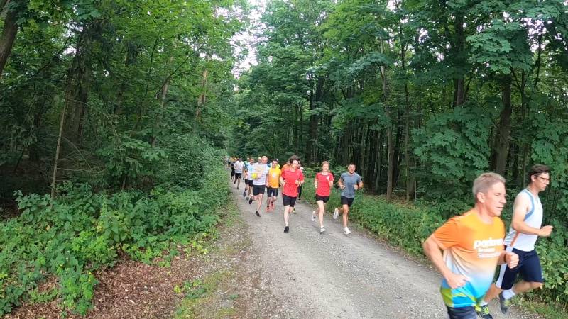 2. URODZINY KÓRNICKIEGO PARKRUNU